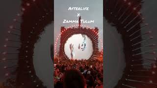 Afterlife Zama Tulum #shorts #viral #djmag #deephouse #techno