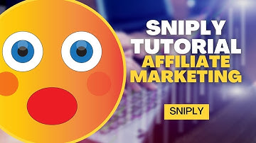 Transform Your Processes with Sniply.io - Attach your call-to-action to everything you share online