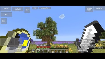Minecraft Survival Let