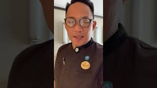 Ships life , kabinista on board discovery princess