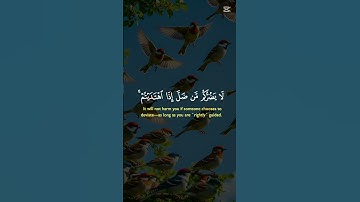 سورة المائدة الأية 105 #اكسبلور #anime #دعاء_مستجاب #قرآن #اسلام_صبحي #المصحف #islam #islamic