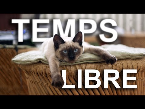 TEMPS LIBRE - PAROLE DE CHAT