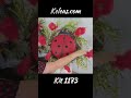 DIY Ladybug Wreath Kit for Front Door Decor