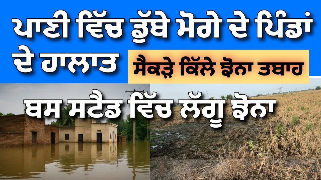 ਪਾਣੀ ਵਿੱਚ ਡੁੱਬੇ ਮੋਗੇ ਦੇ ਪਿੰਡਾਂ ਦੇ ਹਾਲਾਤ @Hargillvlogs 