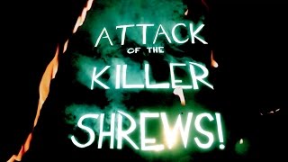 Watch Attack of the Killer Shrews! Trailer