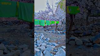 #naturewithkb #trandingchannel #mountains #blossom #eryone #foryoupage #nature #beautiful #travel
