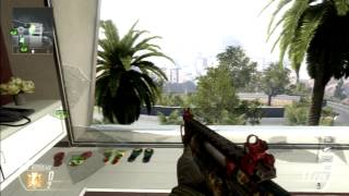 1080 raid sui no killcam (Skyy)