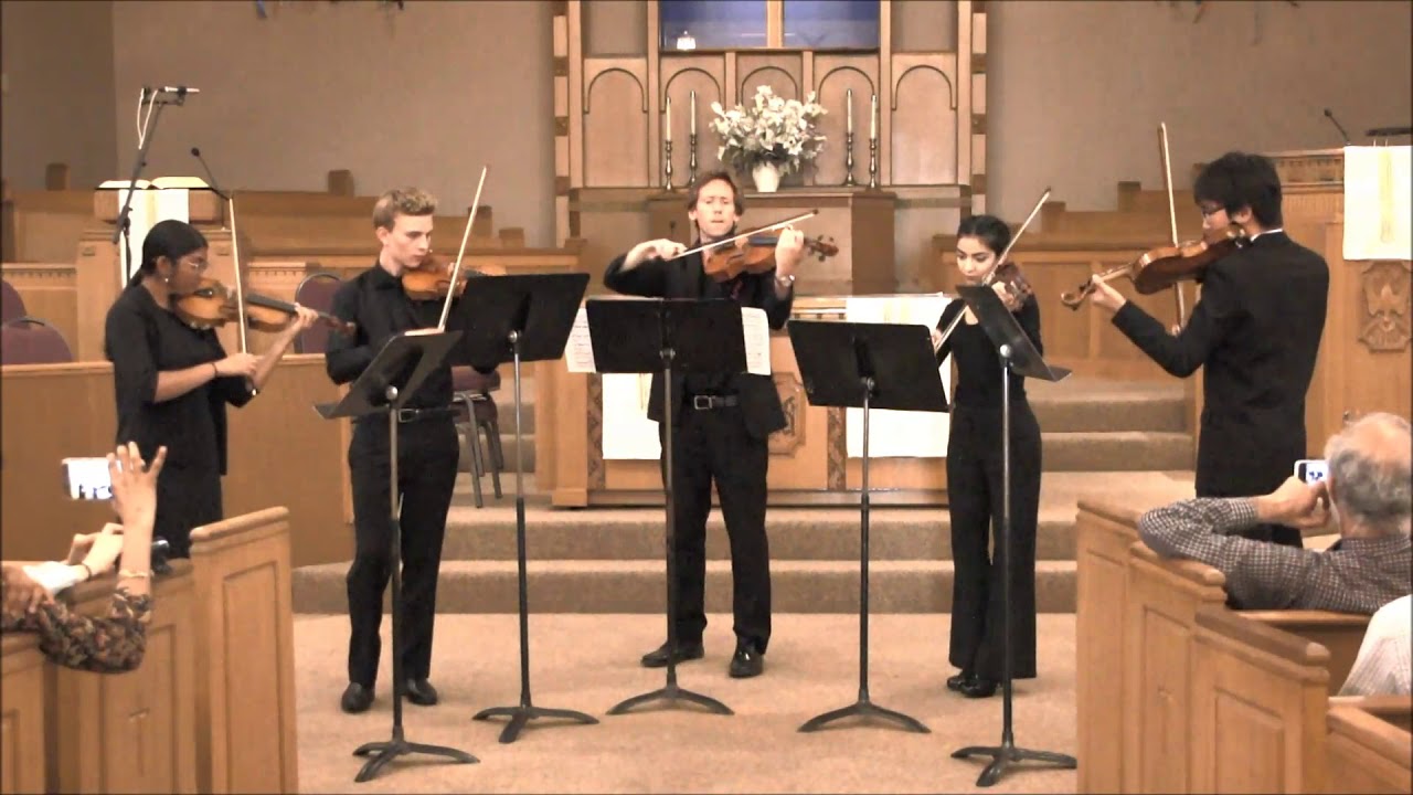SDYS Chamber Music Program
