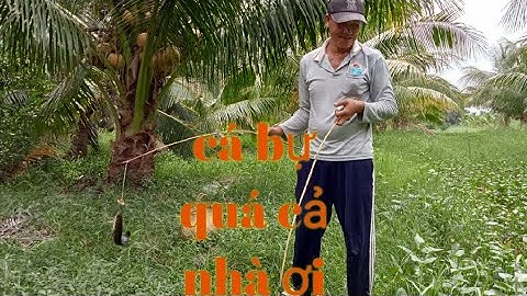 Nhấp cá lóc bằng vịt và cái kết trúng mánh đậm#minhgiangvlog#