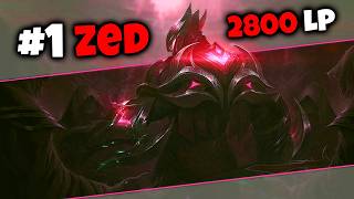 What The Highest LP Zed One Trick in The World Looks Like... *BZ*
