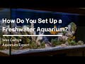 How Do You Set Up a Freshwater Aquarium?