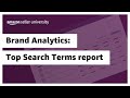 Brand Analytics: Top Search Terms report