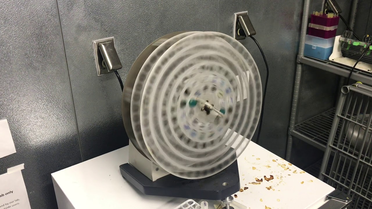 Spinning culture wheel YouTube