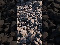 3d Game Environment |Low Poly Realistic Basalt Rocks | Unreal Engine 5