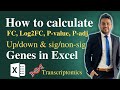How to calculate fold change FC, log2FC, Pvalue, Padj, Up and down regulated genes