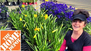 New Spring Flowers at Home Depot!