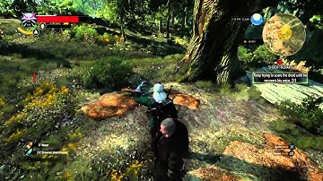 Witcher 3 Skellige Mute man Side Quest (how to) NOT Glitched