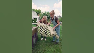 How to Assemble the Viral 12-foot Skeleton 💀