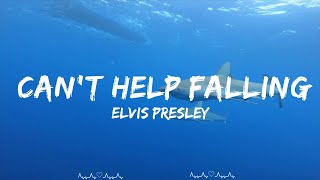 Elvis Presley - Can't Help Falling in Love  || Sophia Music