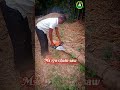 My new Stihl ms 170 chain saw