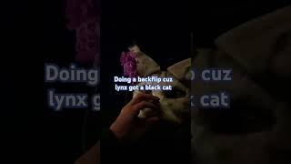 @LYNX._.HASBONES Dftba (don’t forget to be awesome)#eggnogarmy #backflip