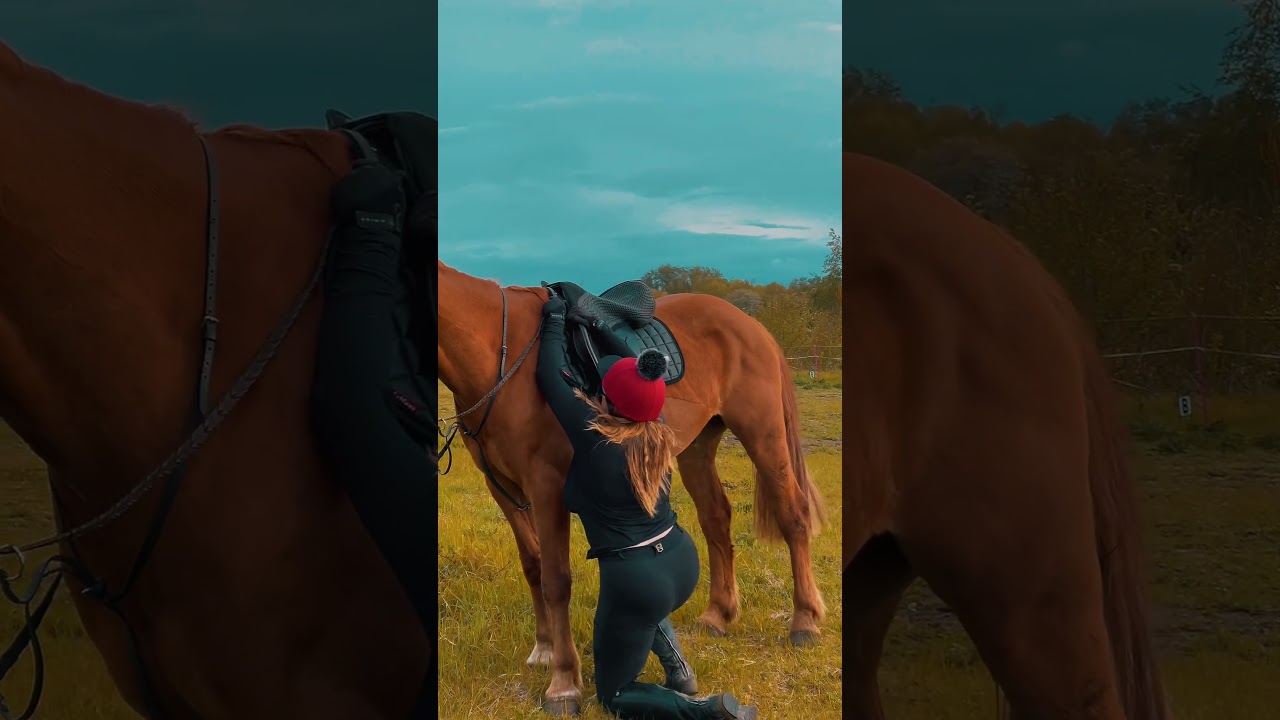 #vlog #shortvideo #shortfeed #horse #shorts #horse #equestrian #dji #drone #girl #2026 #animals