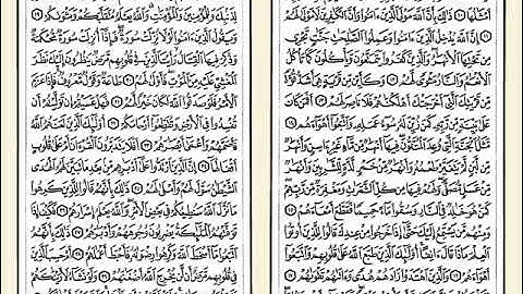 047- سورة محمد للشيخ مصطفى اللاهوني