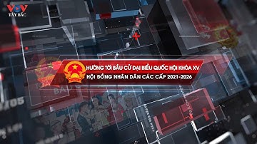 Quy Trình Bỏ Phiếu Bầu Cử Đại Biểu Quốc Hội, HĐND Các Cấp