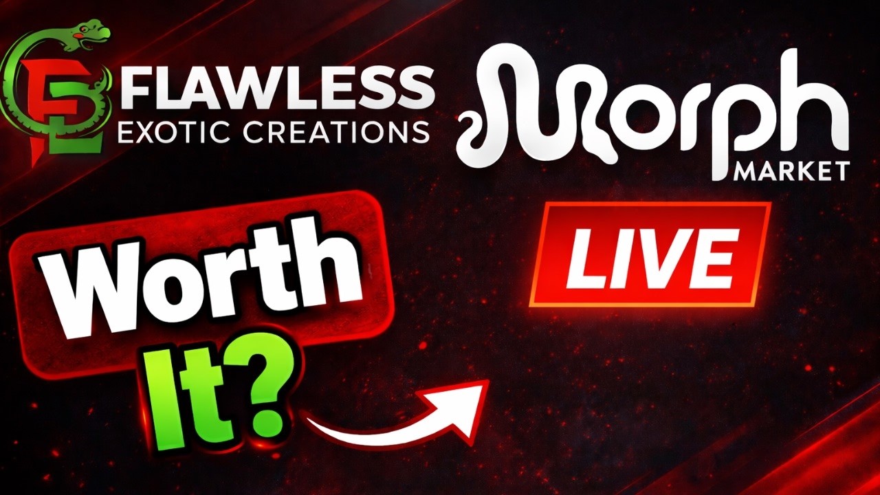 MorphMarket Live: Стоит ли это того заводчикам шаровидных питонов?