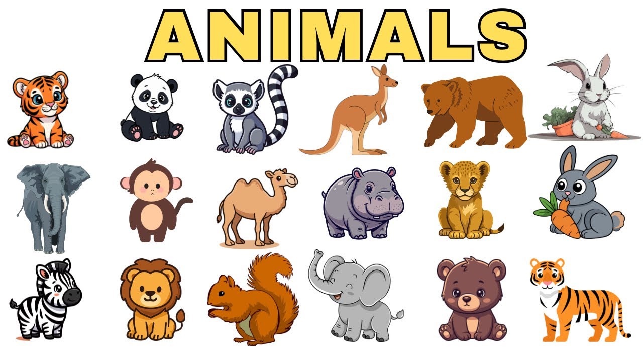 20 Animals Names for Kids | Animals Names for baby