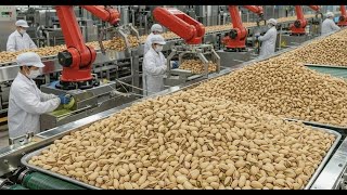 Inside the 50,000 LB Pistachio Plant – The HYPNOTIC Processing of Modern Nut Production