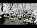 Nature Sounds Winter Woodland Stream Fast Flowing Snowing | Ambience Healing Relaxing Study 4K