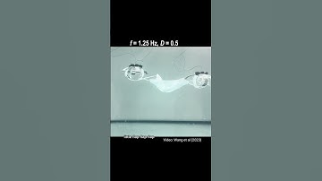 Meet the Jelly-bot !