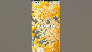 Unveiling the Secrets of the Dancing Corn Experiment