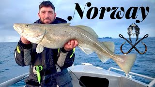 The PROMISED land / INSANE deep sea cod fishing 