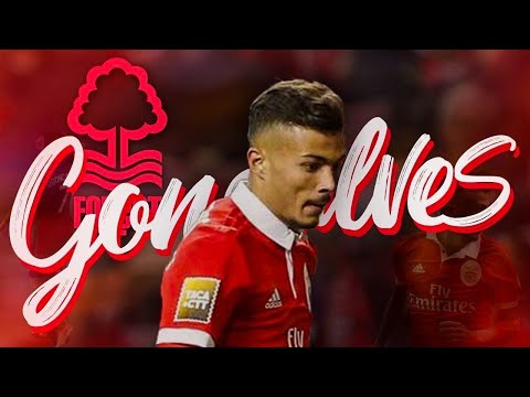 Diogo Gonçalves | Welcome to SL Benfica | Skills | FC Famalicao | Goals & Assists 2020 FHD