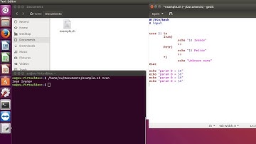 Как написать скрипт для Linux (Ubuntu) - передача параметров при запуске скрипта.