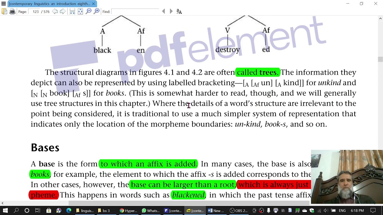 problematic-cases-in-analyzing-word-structure-lecture-7-morphology-and