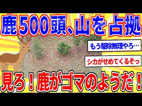 【異常事態】鹿さん、とんでもない密度で山を埋め尽くすｗｗｗ【2ch面白いスレゆっくり解説】