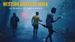 Amboli-Western Ghats के अंदर उसकी तलाश है हम्मे | Wildlife Documentary | Rohan Travel Stories