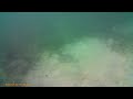 2023 01 02  Snorkling for Stingray