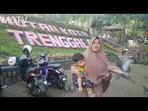 Inilah Pesona Hutan Kota Trenggalek