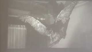 Psycho Theatrical Trailer