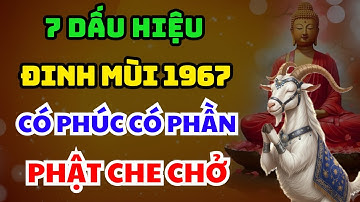 Trời Cao Chỉ Rõ: 7 Dấu Hiệu Tuổi ĐINH MÙI 1967 Có Phúc Có Phần, Hưởng Lộc Tổ Tiên, Về Già Rất Sướng