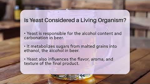 Is Yeast Considered a Living Organism? | The Pint Guy
