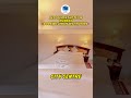 Munnar Inn Hotel Munnar Cheap And Best Hotel Recommended Hotel In Munnar 