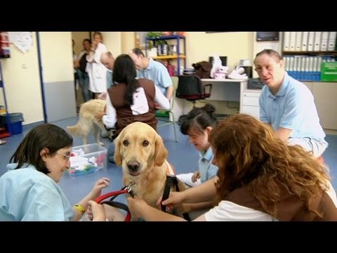 Video: Que Es La Terapia Canina