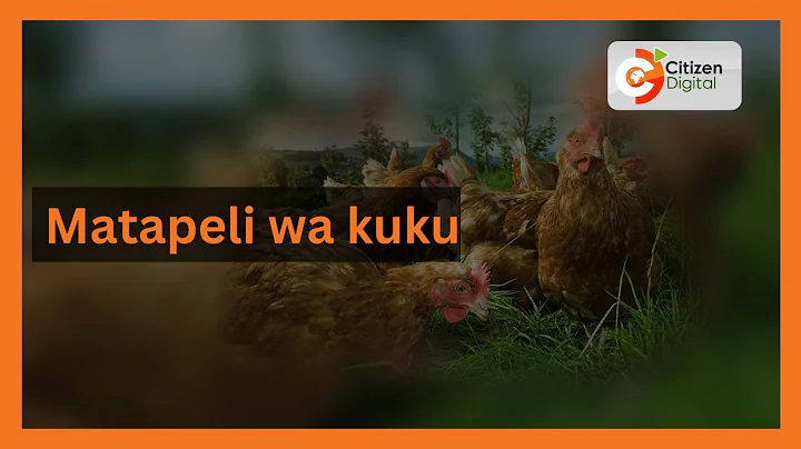 Matapeli wa kuku wamekuwa wakiwalaghai wauzaji kuk...
