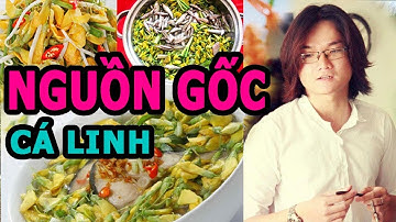 👍Lẩu CÁ LINH Bông ĐIÊN ĐIỂN (Review Quán Cơm THẢO NGUYÊN) Long An (không chặt chém khách)