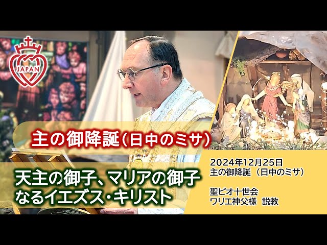 Watch 【字幕】水晶のように明らかなこと。イエズス・キリストは天主であると同時に人間なのです｜「み言葉は肉体となって、われらの中に宿り給うた」 on YouTube.